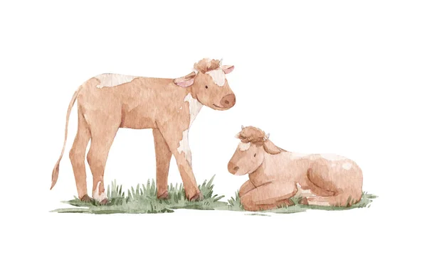 Красивая иллюстрация акварелью с нарисованными коровами. — стоковое фото