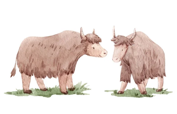 Beautiful stock illustration with cute watercolor hand drawn yaks. — Stock Photo, Image
