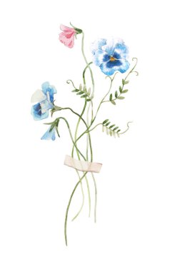Elle çizilmiş suluboya, nazik tarla çiçekleri ile güzel bir örnekleme. Çiçek bileşimi.