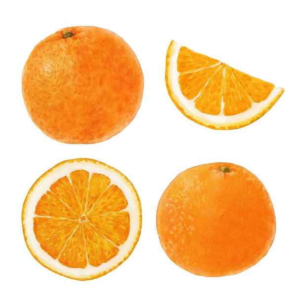 Мбаппе нарисовал акварельные апельсины. Картинная иллюстрация. — стоковое фото