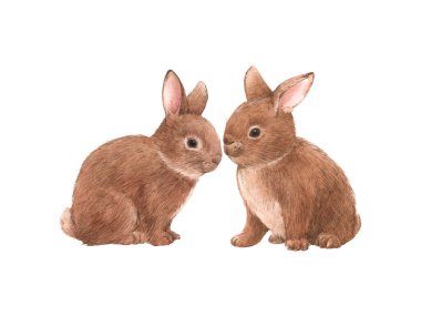 Tatlı tavşan ailesi suluboya ile güzel stok çizimi.