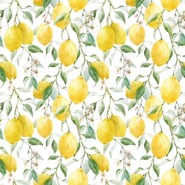 Magnifique Motif Sans Couture Avec Aquarelle Citrons Jaunes Fleurs Illustration — Photo