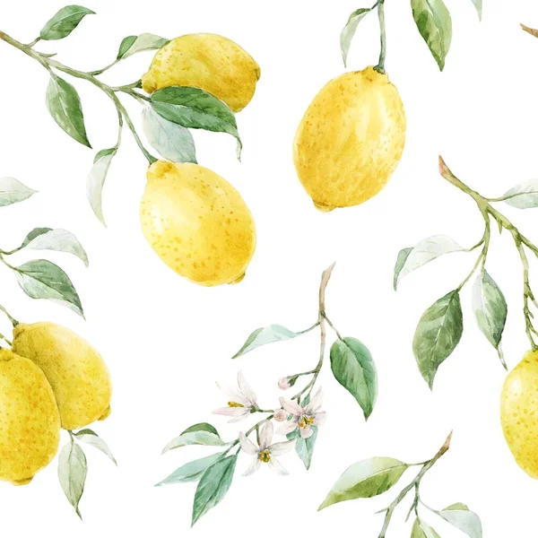 Schöne Nahtlose Muster Mit Aquarell Gelben Zitronen Und Blumen Archivbild — Stockfoto