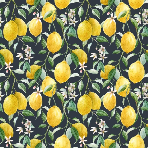 Красивий Безшовний Візерунок Акварельними Жовтими Лимонами Квітами Стокова Ілюстрація — стокове фото