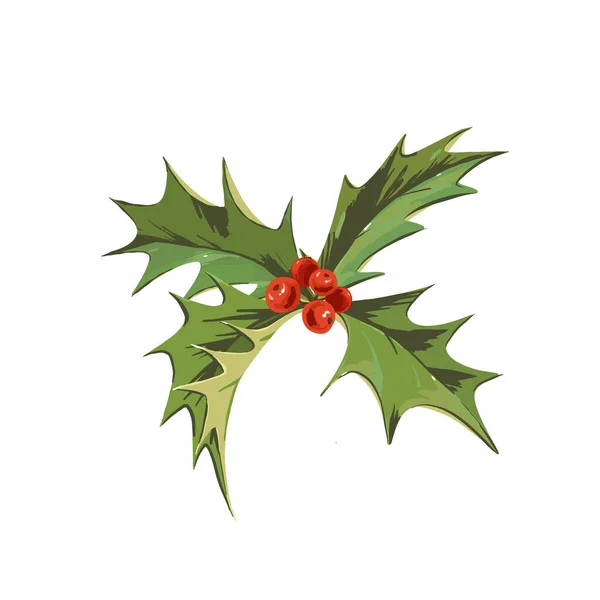 美丽的矢量图像 冬季象征冬青枝叶 绿叶和红色浆果 圣诞快乐庆祝剪贴画 — 图库矢量图片
