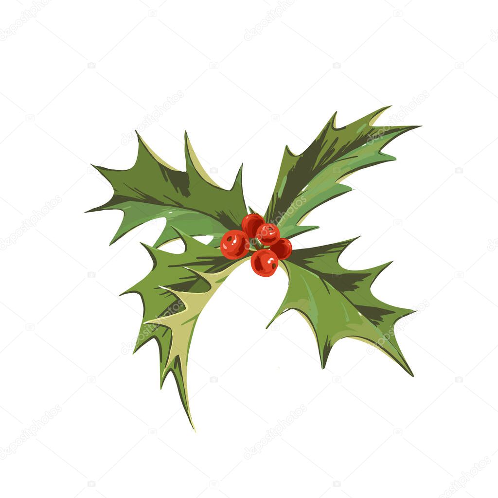 Beautiful vector image with winter symbol holly branch with green leaves and red berries. Merry christmas celebration clip art.