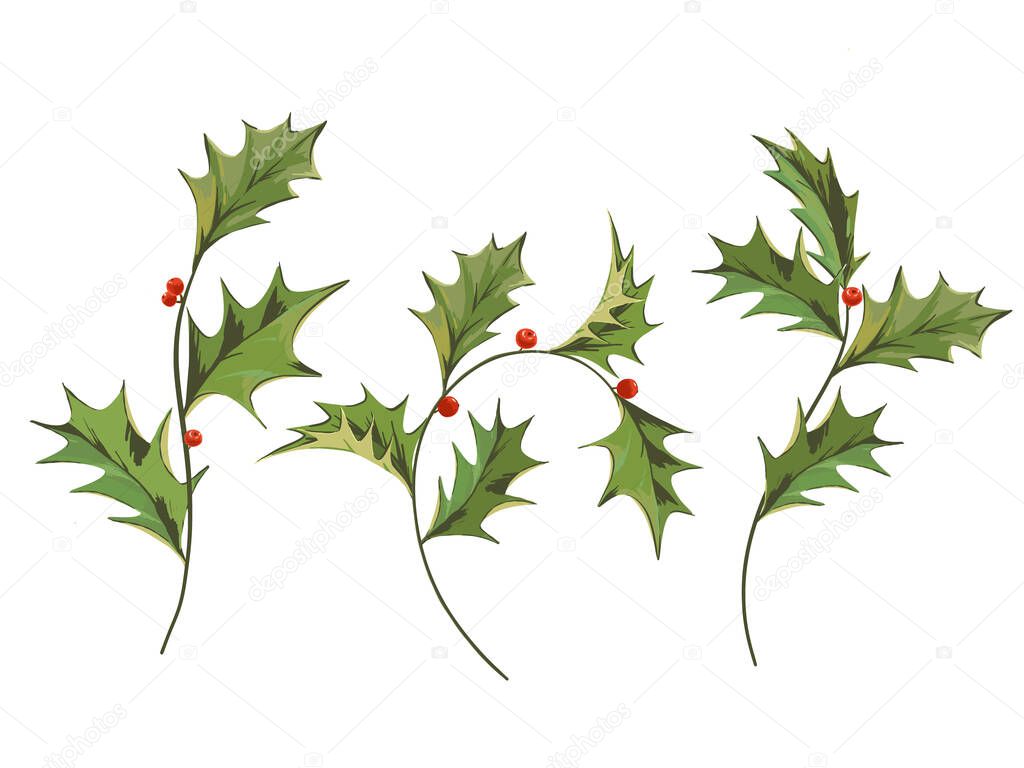 Beautiful vector image with winter symbol holly branch with green leaves and red berries. Merry christmas celebration clip art.