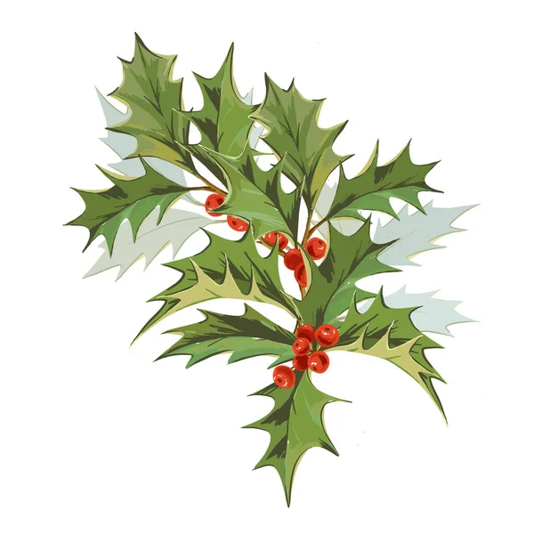 Beautiful Vector Image Winter Symbol Holly Branch Green Leaves Red — Stock Vector
