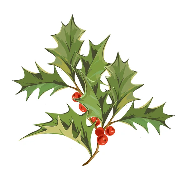 Beautiful Vector Image Winter Symbol Holly Branch Green Leaves Red — Stock Vector