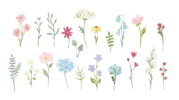水彩手描きの花と美しい花セット ストックイラスト クリップアート — ストック写真