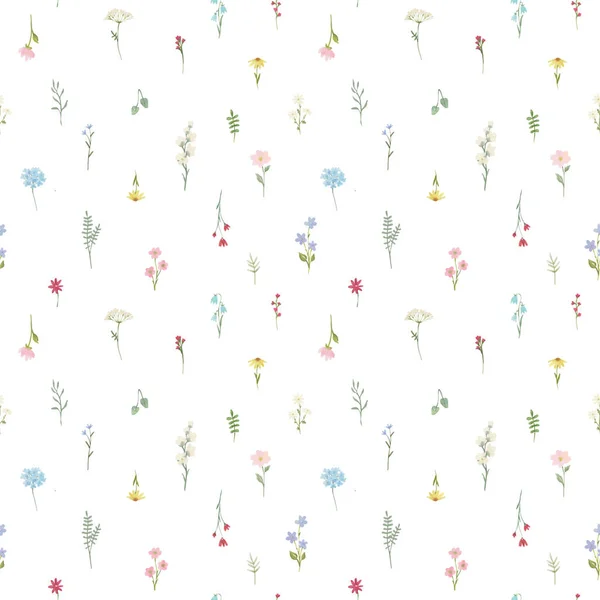 Beautiful Seamless Floral Pattern Hand Drawn Watercolor Gentle Spring Flowers — Stock Photo, Image