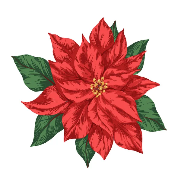 Hermosa Imagen Vectorial Con Símbolo Invierno Poinsettia Feliz Navidad Celebración — Vector de stock