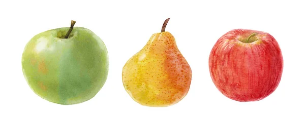 Beautiful Set Watercolor Apple Pear Fruits Stock Clip Art Illustration — Stock Photo, Image