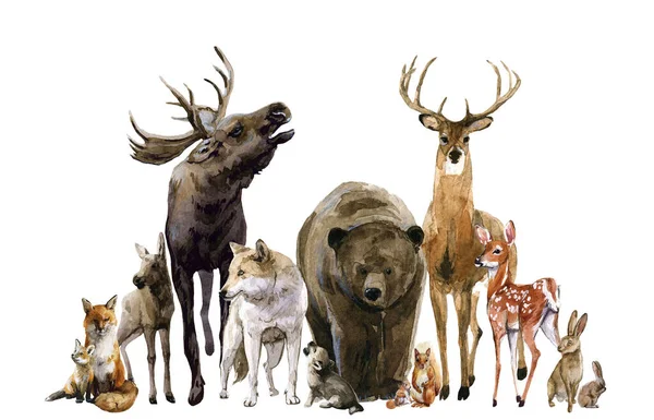 水彩画の手描きの森の野生の鹿と美しい組成子とキツネオオカミウサギリス動物をヘラジカ ストックイラスト — ストック写真