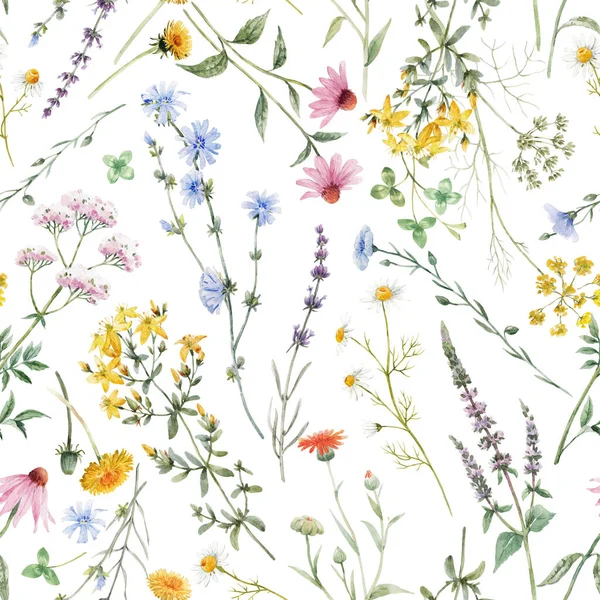 Schöne Florale Nahtlose Muster Mit Aquarell Sommer Wilde Feldblumen Archivbild — Stockfoto