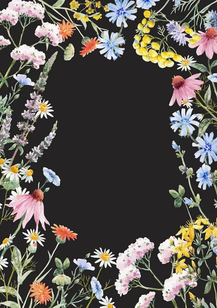 Piękna Kwiatowa Ramka Akwarelą Ręcznie Rysowane Letnie Dzikie Kwiaty Polne — Zdjęcie stockowe