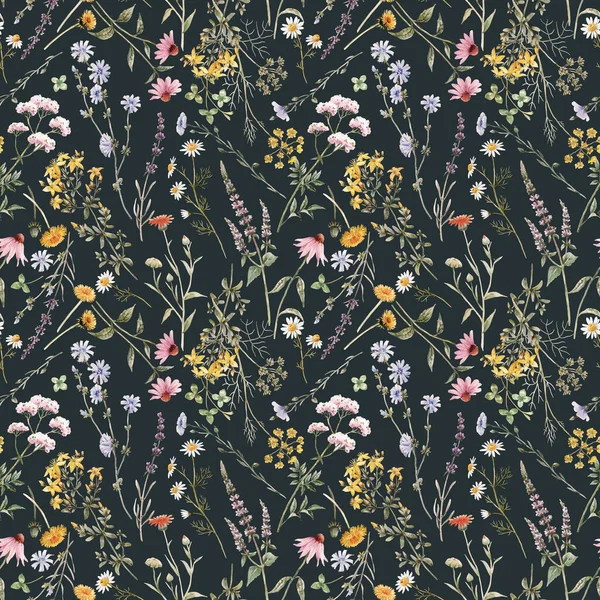 水彩夏の野の花と美しい花のシームレスなパターン ストックイラスト — ストック写真