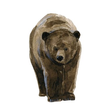 Suluboya orman vahşi ayı hayvanlarıyla güzel bir örnekleme..