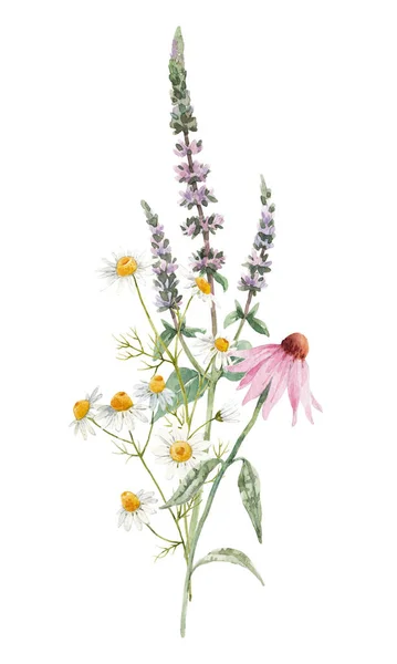 Vacker Blommig Bukett Med Akvarell Hand Dras Sommar Vilda Fält — Stockfoto