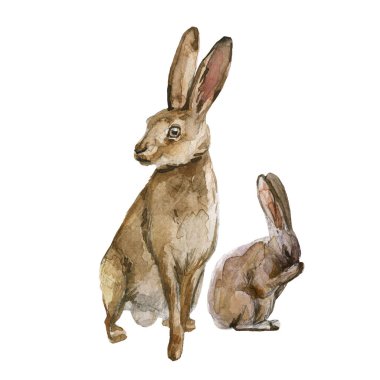 Sulu boyalı ormanlı güzel stok çizimi. Bebekli vahşi tavşan hayvan..
