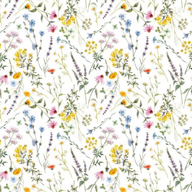 Çiçeksiz desenli, suluboya yaz kır çiçekleri. Stok illüstrasyonu.