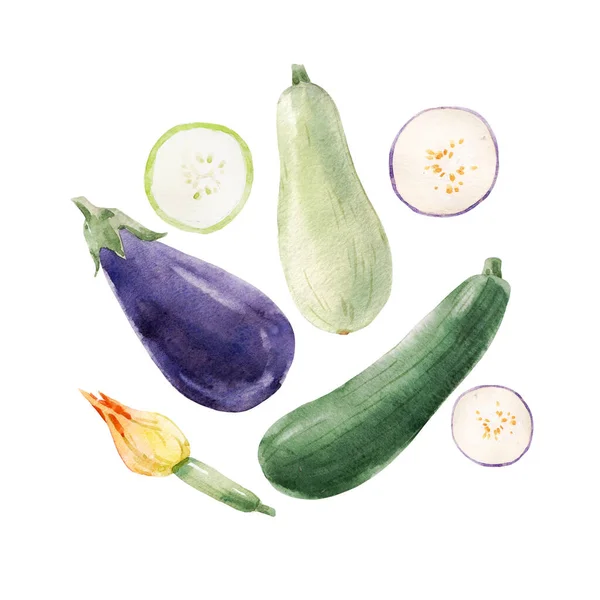 Vacker Stock Klipp Konst Illustration Med Akvarell Välsmakande Aubergine Zucchini — Stockfoto