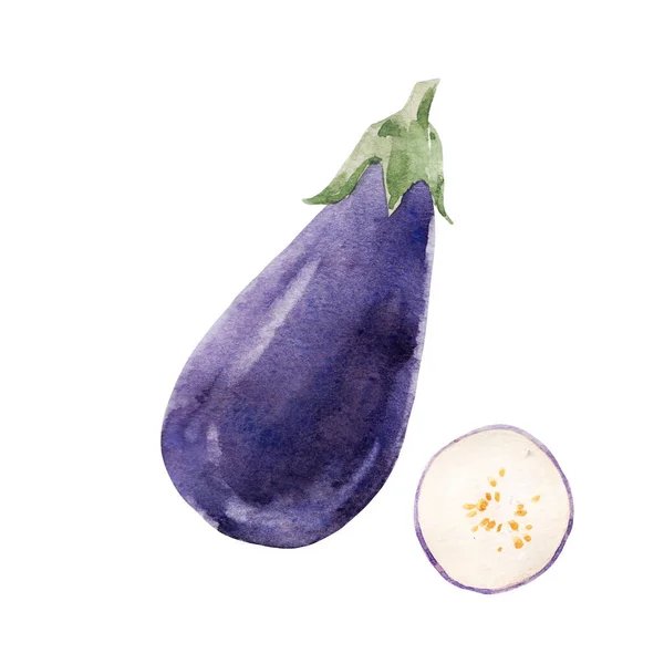 Vacker Stock Klipp Konst Illustration Med Akvarell Välsmakande Aubergine Grönsaker — Stockfoto