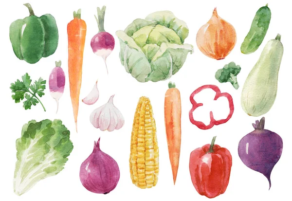 Beautiful Set Watercolor Healthy Vegetable Food Eggplant Cabbage Corn Broccoli — Stock Photo, Image