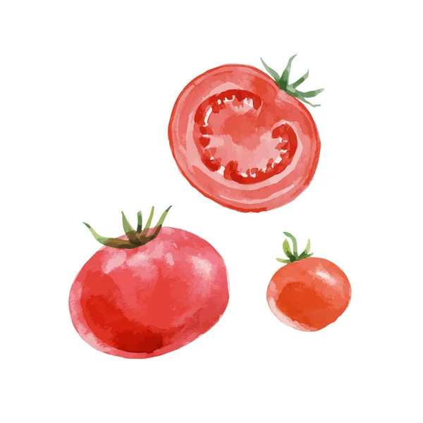 Belo Vetor Clipe Arte Ilustração Conjunto Com Aquarela Saboroso Tomate — Vetor de Stock