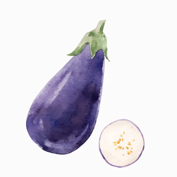 Vacker Stock Klipp Konst Illustration Med Akvarell Välsmakande Aubergine Grönsaker — Stock vektor