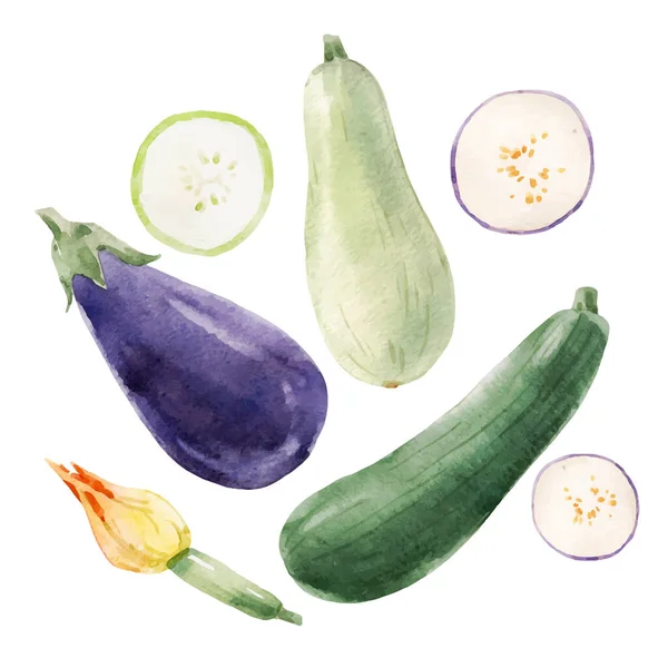 Vacker Stock Klipp Konst Illustration Med Akvarell Välsmakande Aubergine Zucchini — Stock vektor