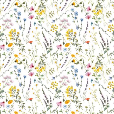 Çiçeksiz güzel vektör desenli suluboya yaz kır çiçekleri. Stok illüstrasyonu.