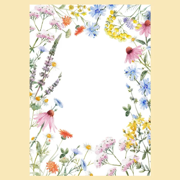 Beautiful Vector Floral Frame Watercolor Hand Drawn Summer Wild Field — Stock Vector