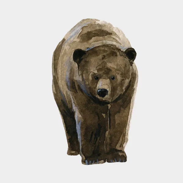 Medve rajz Stock vektorok, Medve rajz Jogdíjmentes illusztrációk ...