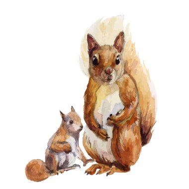 Suluboya ormanlı güzel stok çizimi. Yavrusu olan vahşi bir sincap..