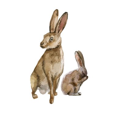 Sulu boyalı ormanlı güzel stok çizimi. Bebekli vahşi tavşan hayvan..