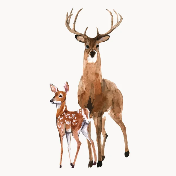 Hermosa Ilustración Stock Con Acuarela Bosque Salvaje Ciervo Animal Con — Archivo Imágenes Vectoriales