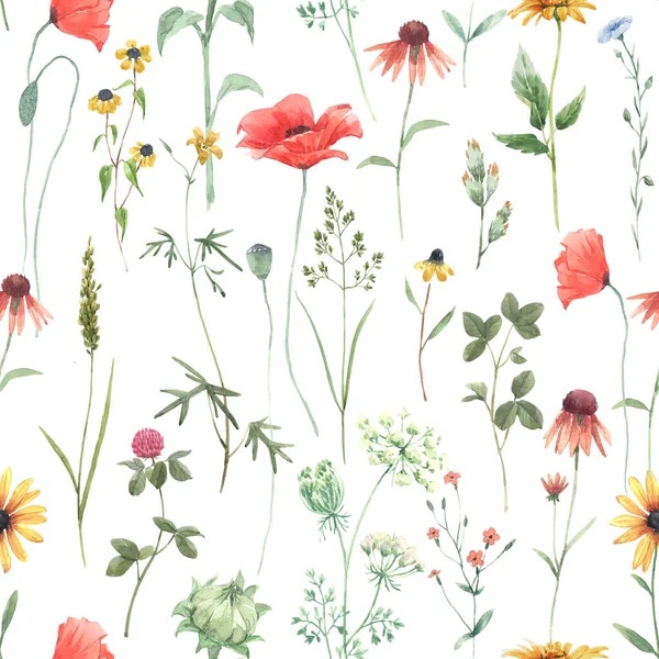 Beautiful Floral Seamless Pattern Watercolor Field Wild Flowers Stock Illustration — Stock Photo, Image