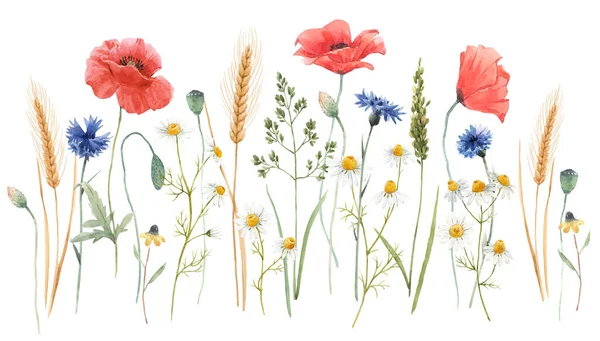Vacker Blommig Komposition Med Akvarell Fält Vilda Blommor Stockclip Konst — Stockfoto