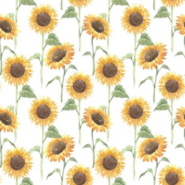 Çiçeksiz, suluboya sarı ayçiçekleri olan güzel bir desen. Stok illüstrasyonu.