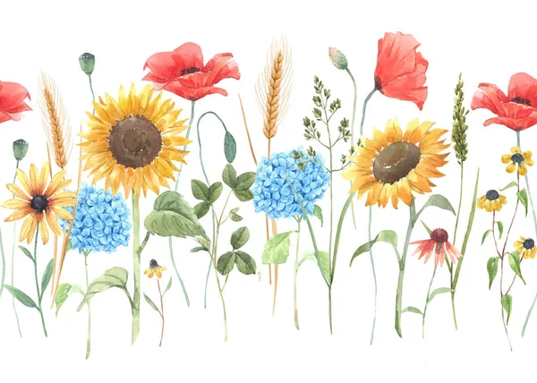 Vackert Blommigt Horisontellt Sömlöst Mönster Med Akvarellfält Vilda Blommor Lagerillustration — Stockfoto