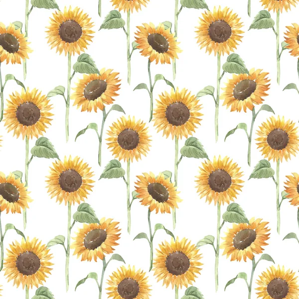 Krásný Květinový Bezešvý Vzor Akvarelem Žluté Slunečnice Stock Illustration — Stock fotografie