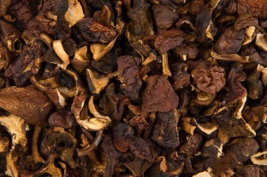 Orman mantarlarının dokusu - kurutulmuş körfezin üst görüntüsü.