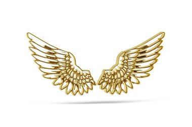 Beyaz arkaplanda izole edilmiş 3D kanatlar - 3d oluşturma