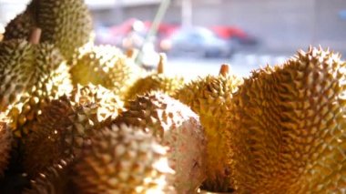 Egzotik Asya Yemekleri: Lezzetli olgun durianlar meyve pazarına yaklaşıyorlar. Yüksek kalite 4K video. Phuket, Tayland.