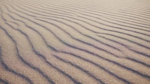 Stark vind i öknen gör vågor med sandkorn. Långsam 4K Natur bakgrund Begreppsfilm — Stockvideo