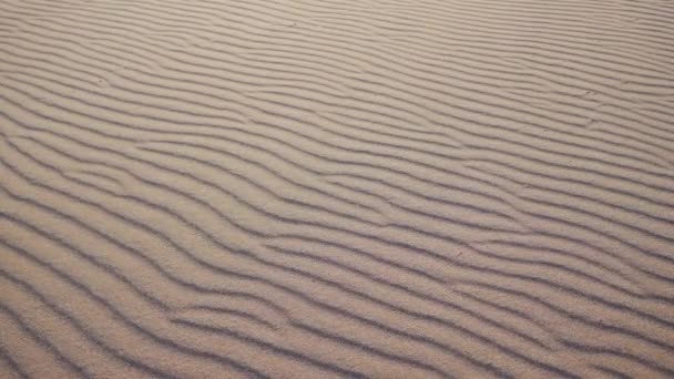 Vento forte no deserto faz ondas com grãos de areia. Filmagem do conceito da natureza de câmera lenta 4K — Vídeo de Stock