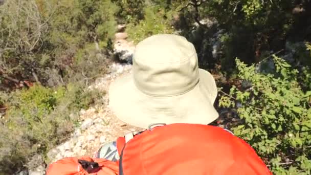 Randonnée pédestre pour jeunes femmes Chemin forestier avec sac à dos. Caméra 4K Slowmotion Suivre de l'arrière POV — Video