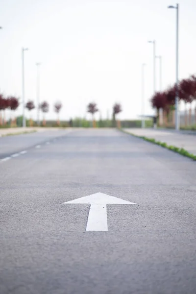 Traffic sign painted on the road with forward arrow ahead in white