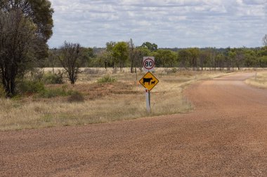 Queensland 'ın mühürsüz ve çitsiz bir yolundaki uyarı işareti sığırların gevşek olabileceğini ve hız sınırlaması gerektiğini söylüyor..